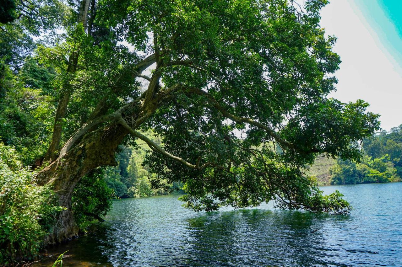 Lake Nyamirima Cottages Fort Portal Eksteriør billede